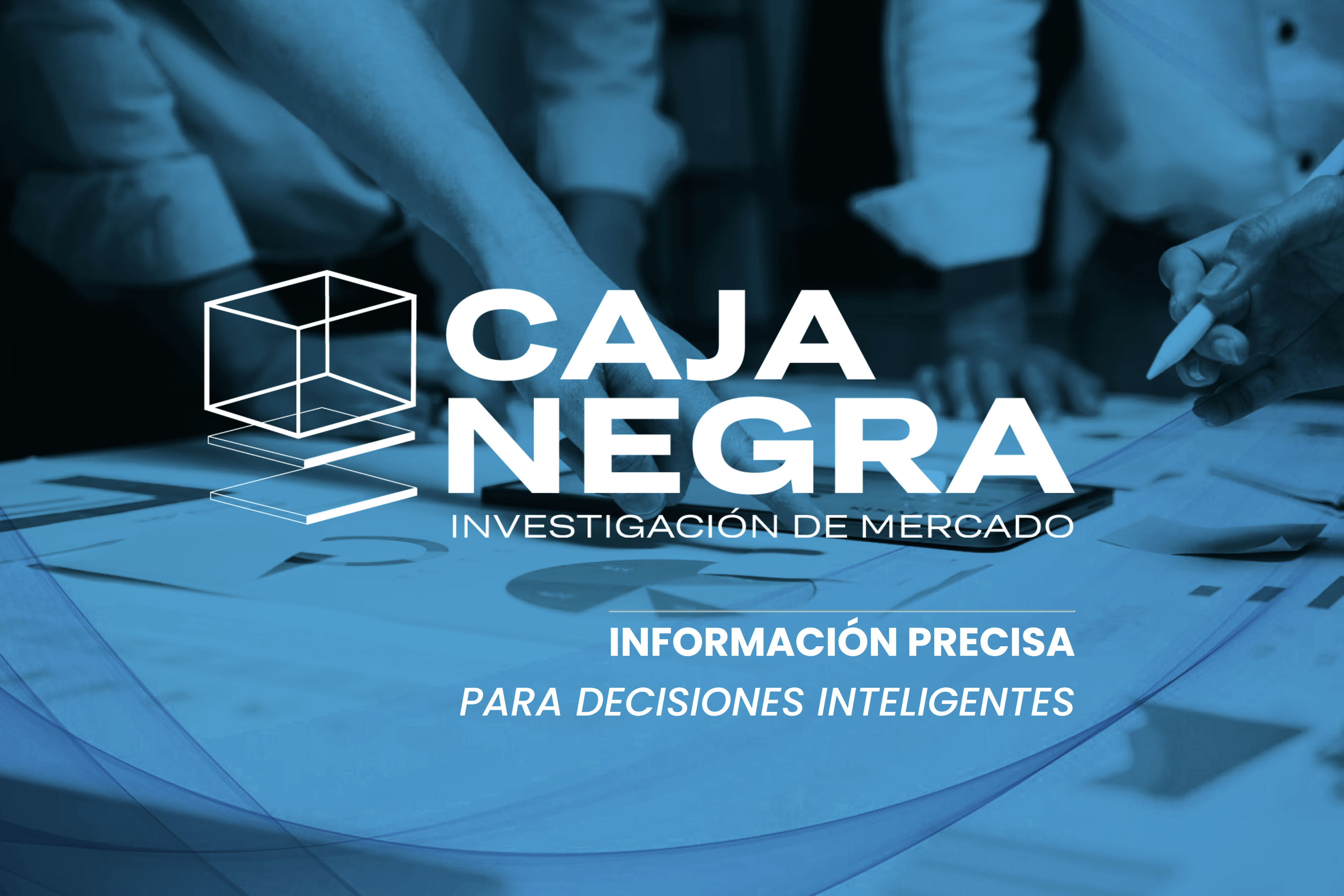 CONSULTORA CAJA NEGRA I.M.